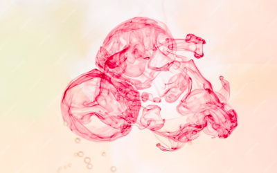 SCU Services bf-400x250 Blog