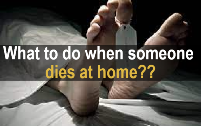 SCU Services Group-26-400x250 Blog