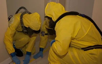 SCU Services i-2-400x250 Blog