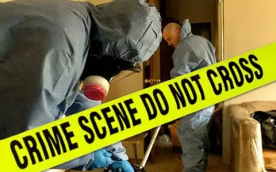 SCU Services i-4-400x250 Blog