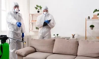 SCU Services i-5-400x240 Blog