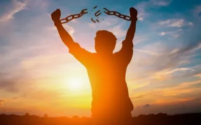 SCU Services i-8-400x250 Blog